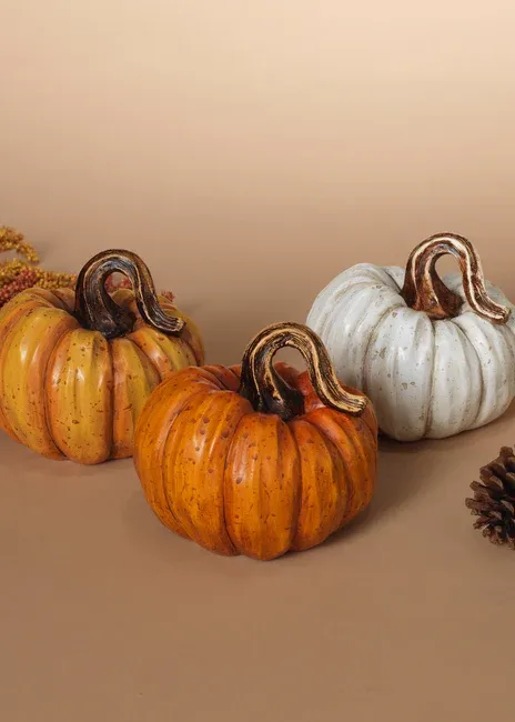 G2484350 - HARVEST PUMPKIN - 3/ASST'D