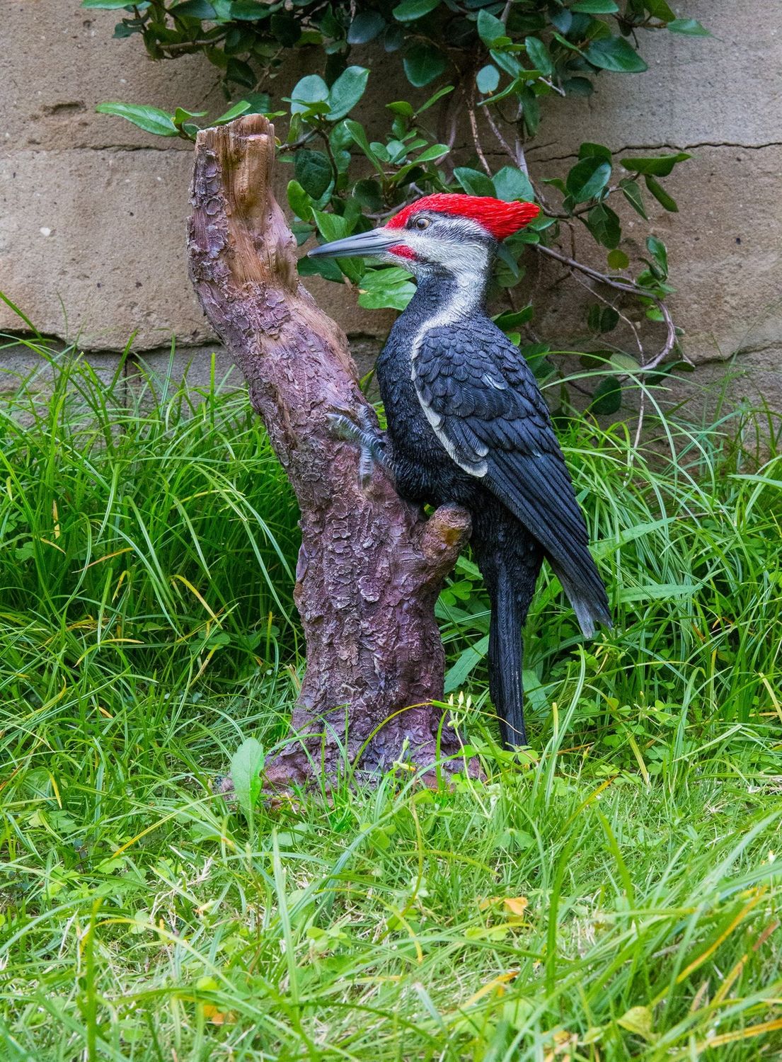 87758-R - PILEATED  WOODPECKER ON STUMP