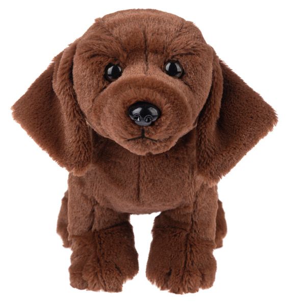 WK00031 - WEBKINZ® - CHOCOLATE LAB