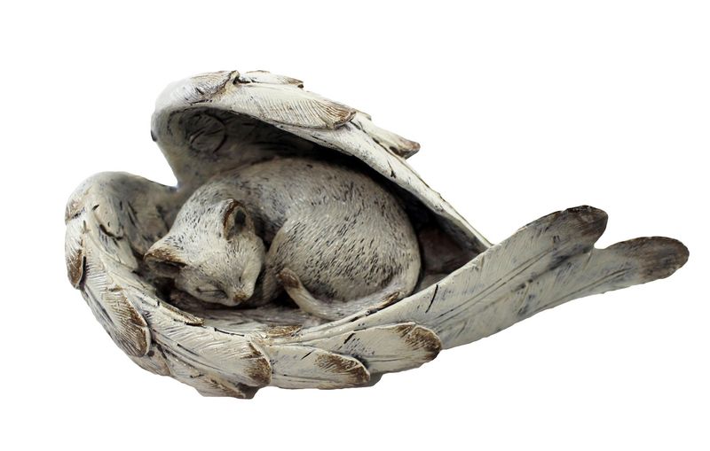 KT193 - CAT SLEEPING IN ANGEL WINGS