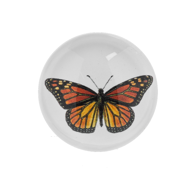 CG197377 - POCKET CHARM - BUTTERFLY