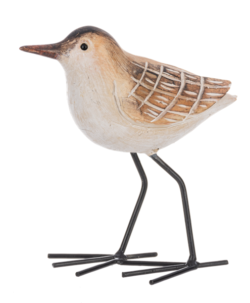 ME201699 - COASTAL BIRDS - 3/ASST, DESIGN: HEAD UP