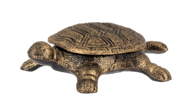 CG198912 - KEY HIDER - TURTLE 3/ASST, FINISH: GOLD