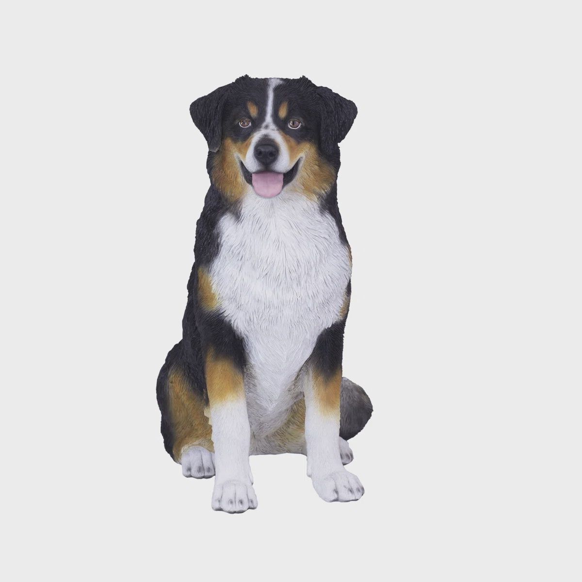 87626-BR - AUSTRALIAN SHEPHERD - TRI / 19.69" H