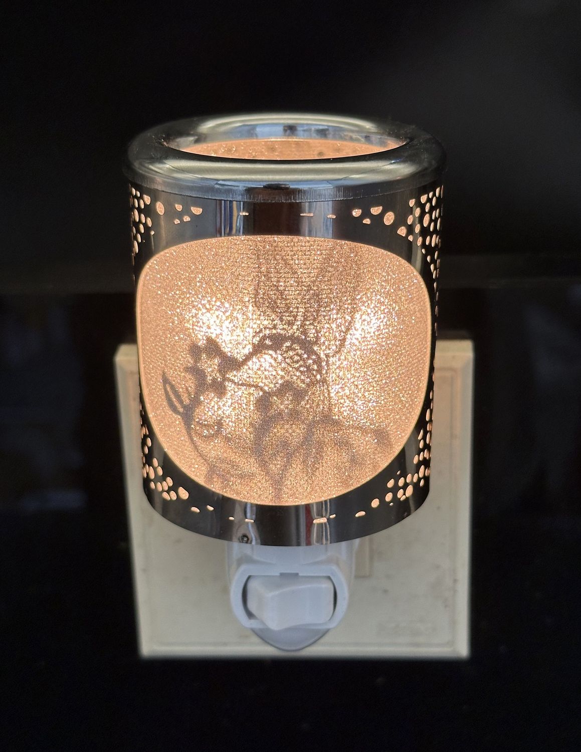 NL261302 - NIGHT LIGHT - HUMMINGBIRD / 4" H