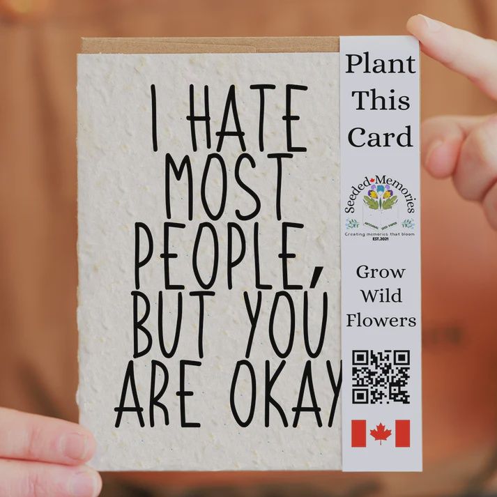 all001 - I HATE MOST PEOPLE / ALL OCCASION