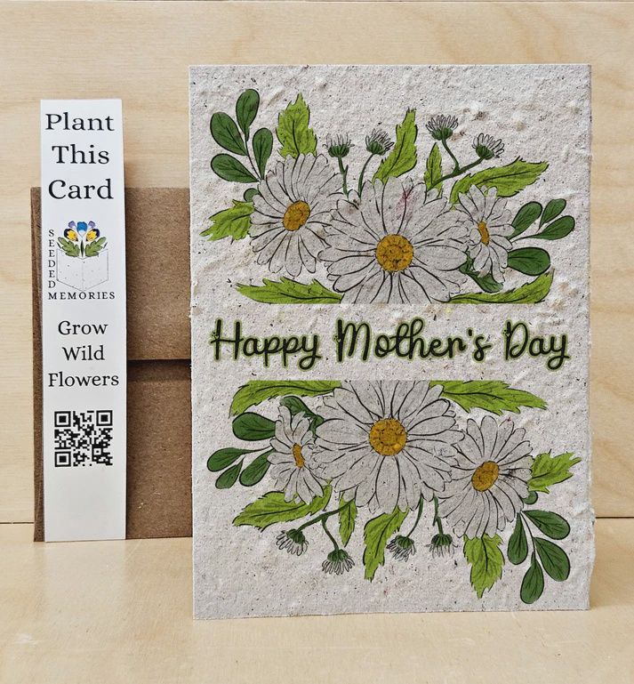 mom004 - DAISY / MOTHER'S DAY