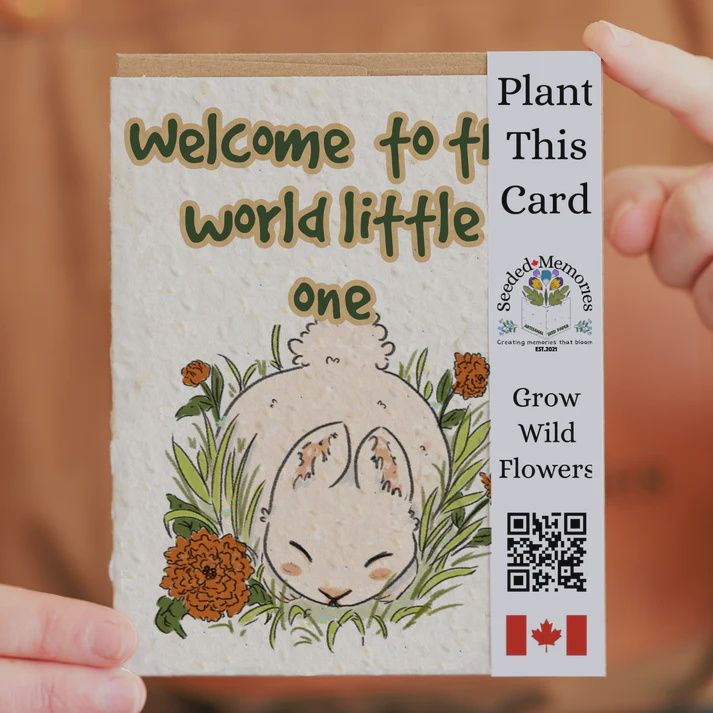 baby001 - WELCOME TO THE WORLD LITTLE ONE / BABY