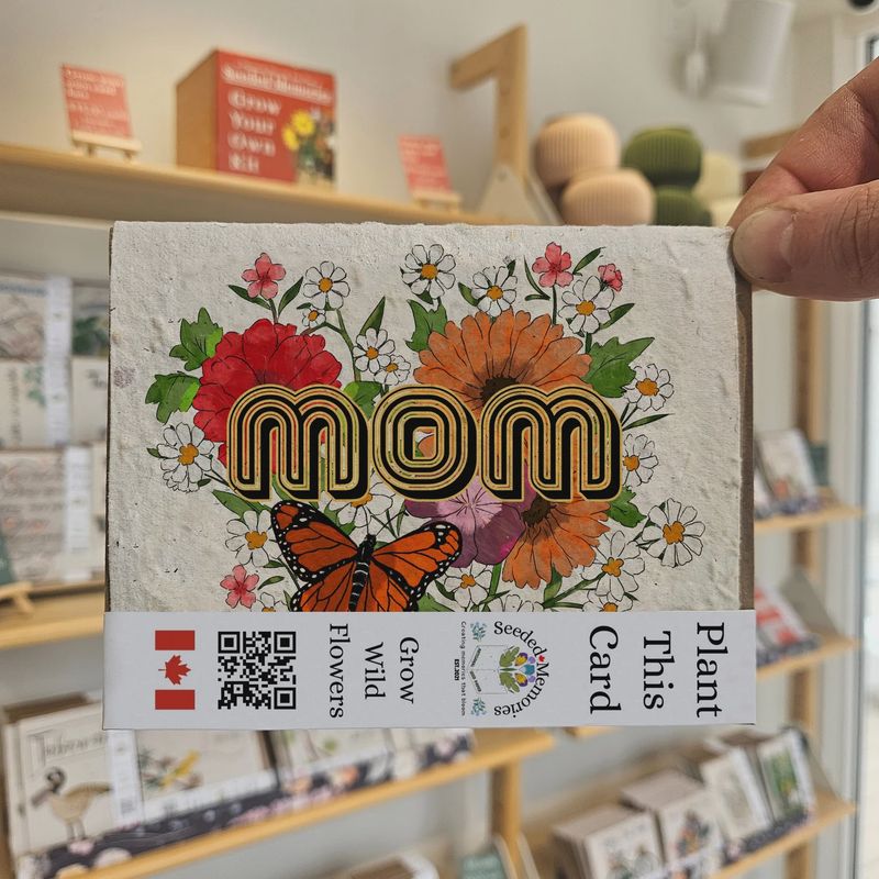 all008 - MOM / ALL OCCASION