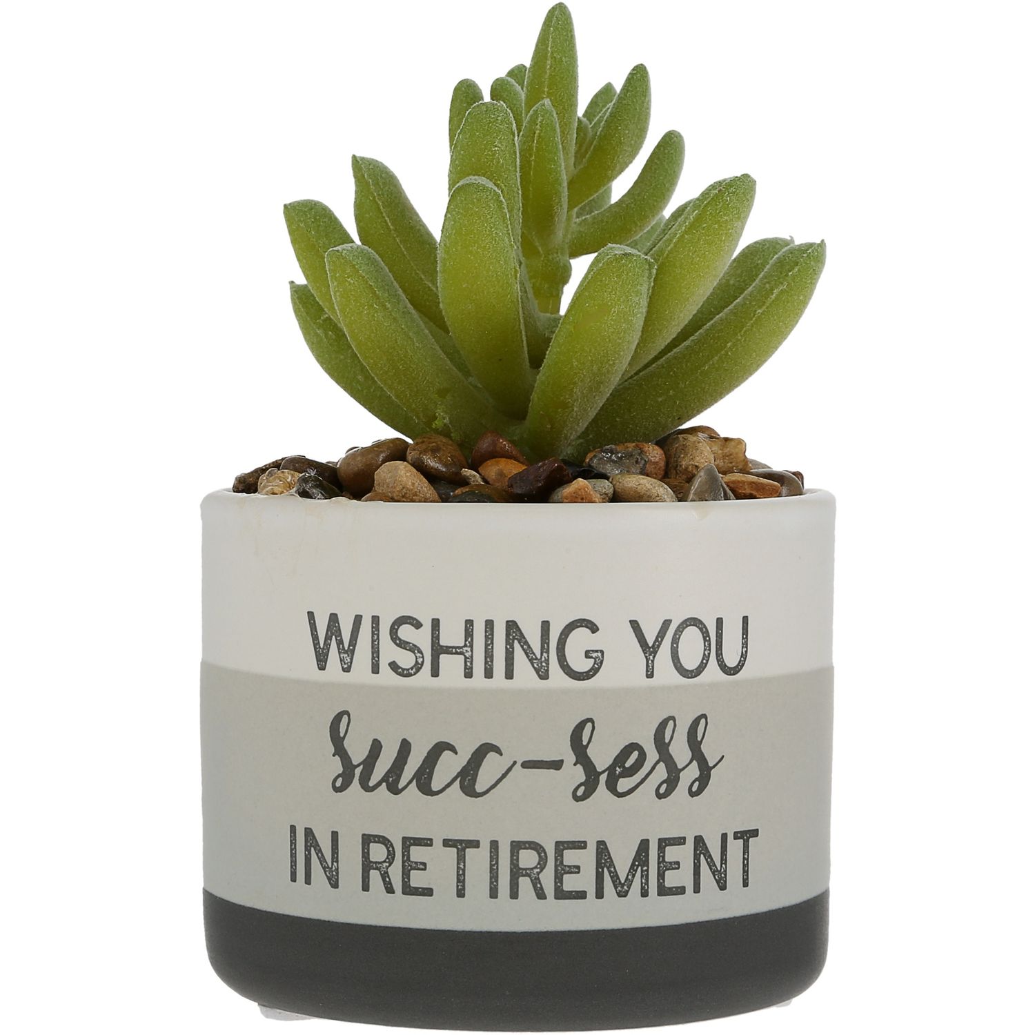23645 - SUCC-SESS - ARTIFICIAL POTTED PLANT
