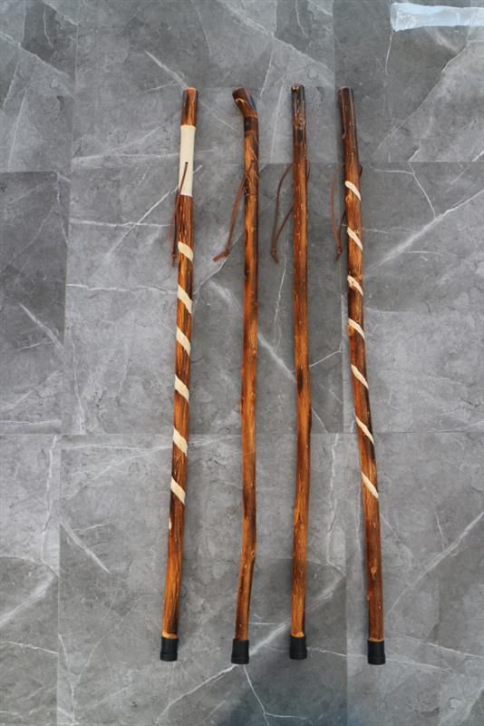 30502 - WALKING STICK / 4/ASST