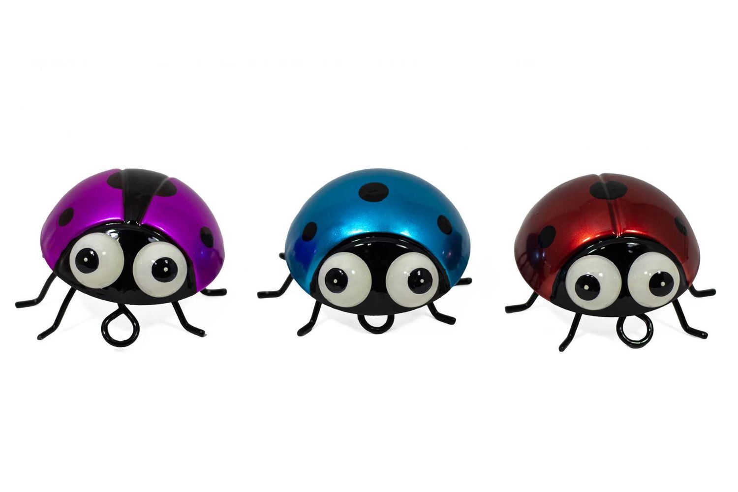 SNG320S - SPRING LEGGED LADYBUGS - 3/ASST, STYLE/COLOUR: PURPLE