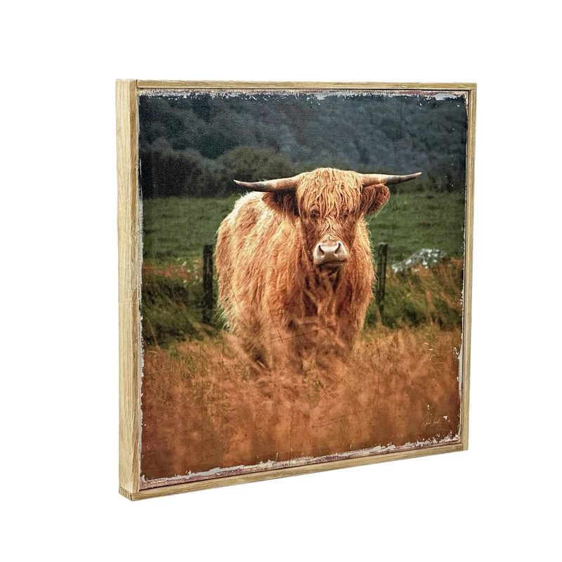 BF223 - HIGHLAND COW WALL DECOR