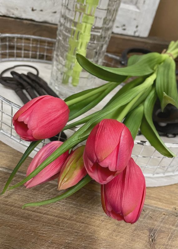 16" FRESH TOUCH DYNASTY TULIP BUNDLE - ROSE