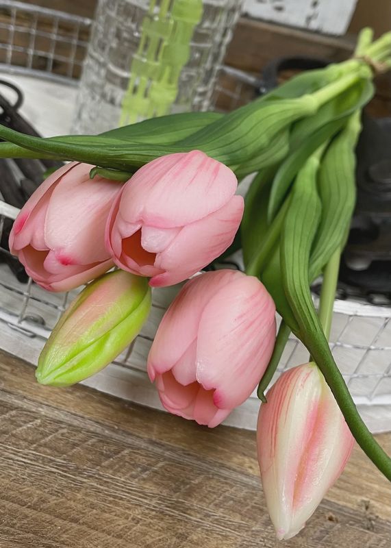 16" FRESH TOUCH DYNASTY TULIP BUNDLE - PINK