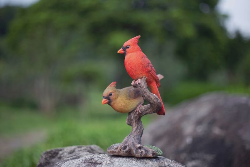 87758-V - CARDINALS ON BRANCH / 8.25" H