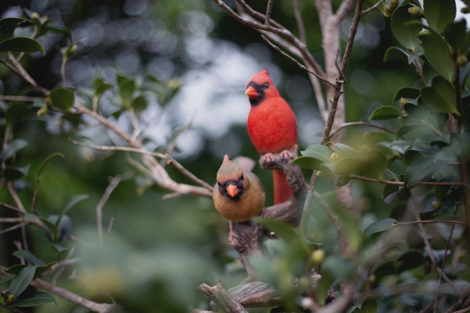 87758-V - CARDINALS ON BRANCH / 8.25" H