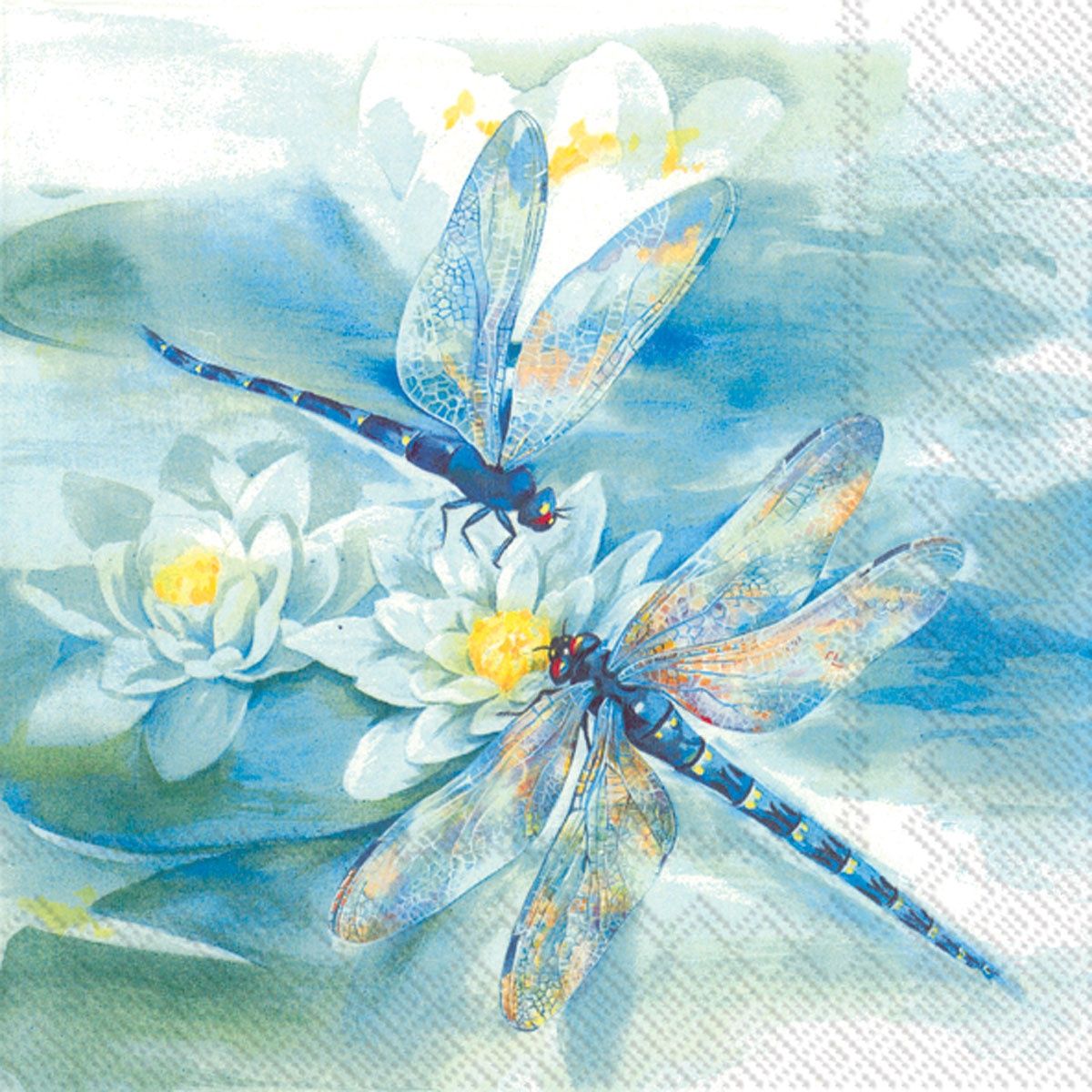 C523000 - CKTL/DRAGONFLY