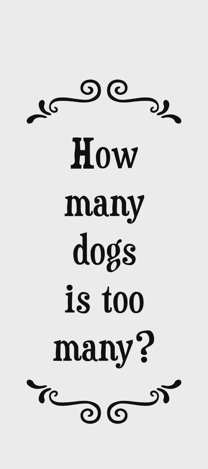 479-SFT0252 - SCRUNCHY FACE TOWEL / HOW MANY DOGS