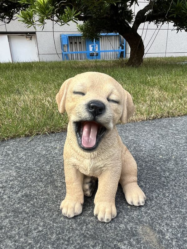 87703-T - YAWNING LABRADOR PUPPY / 8.46" H