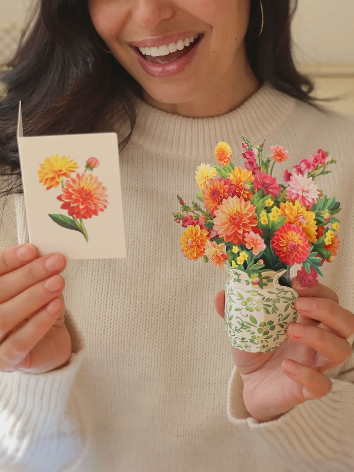 327-7456 - MINIPOP UP DAHLIA SUNRISE