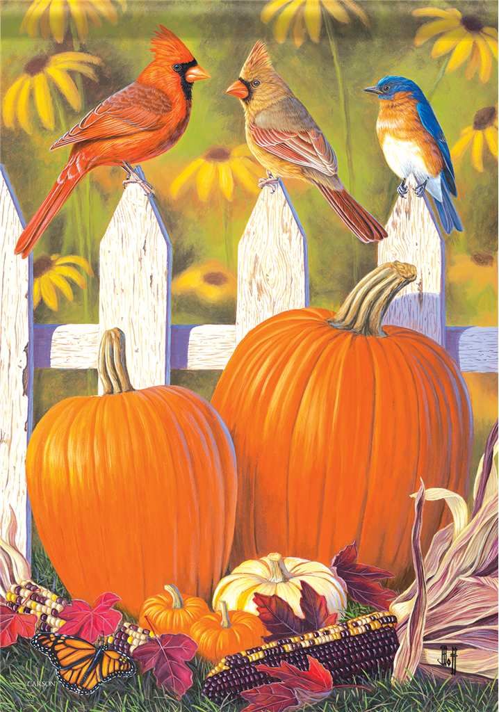 CS54566 - LARGE FLAG - SONGBIRD PUMPKINS