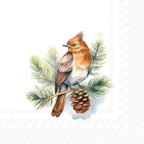 C1121100 - COCKTAIL : WINTER WILDLIFE