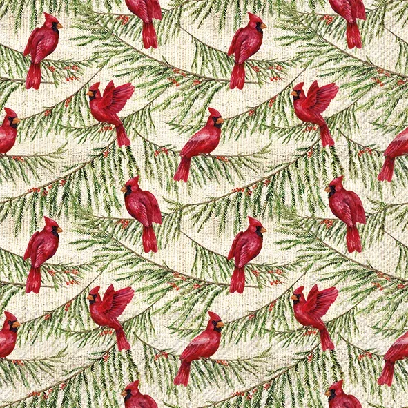 L1129360 - LUNCH : CARDINAL PINES CREAM