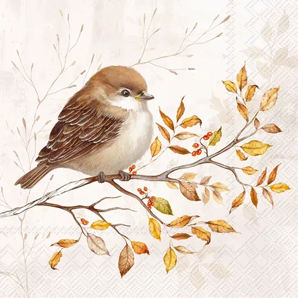 C1120660 - COCKTAIL : AUTUMN MELODY CREAM