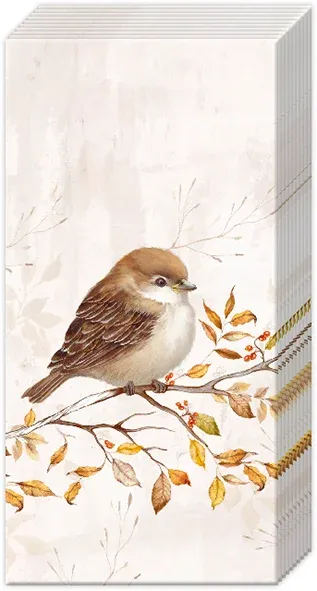 PT1120660 - POCKET TISSUE : AUTUMN MELODY CREAM