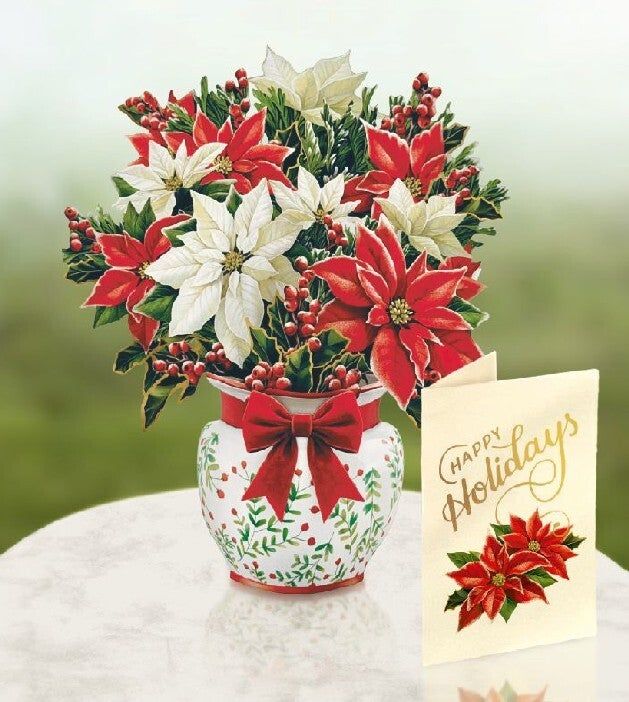 327-7469 - MINIPOP UP FESTIVE POINSETTIAS