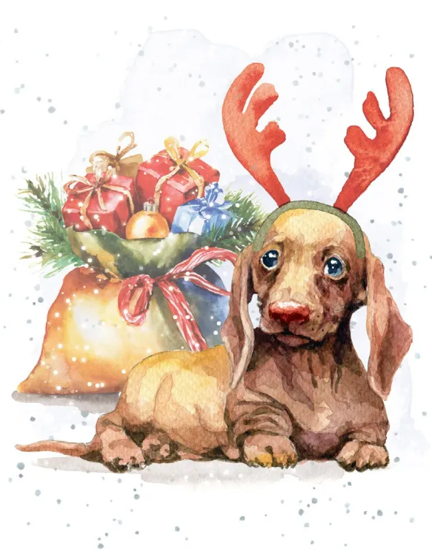 8947-XMEHOP0347 - ENC/GUIDE THE SLEIGH