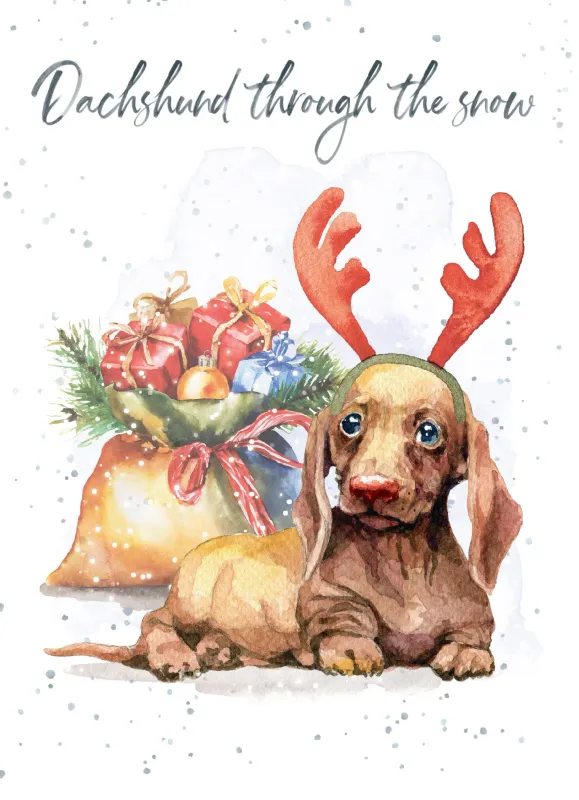 8947-XMHOP0347 - XM/DACHSHUND THROUGH