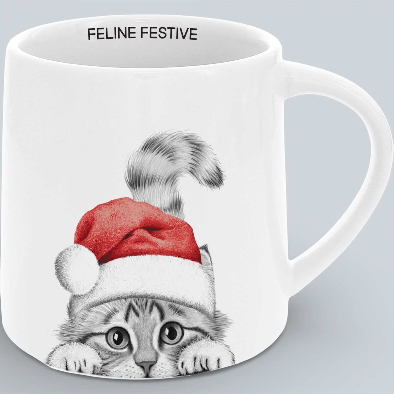 41317 - MUG - FELINE FESTIVE