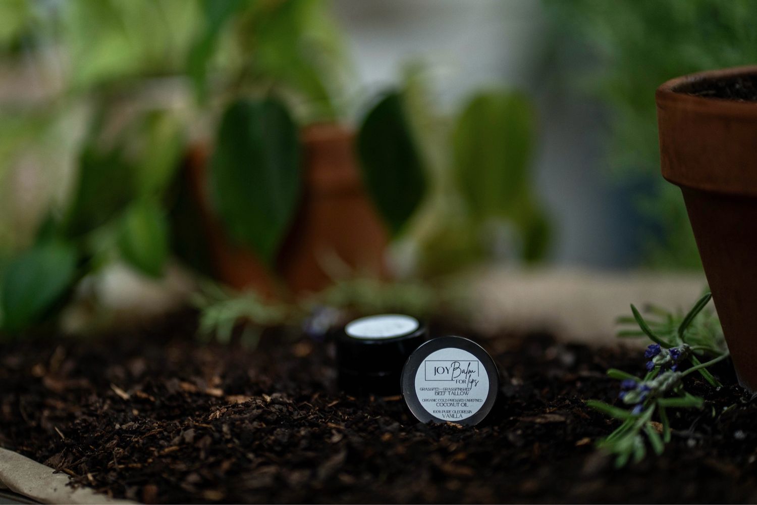 JoyBalm for Lips