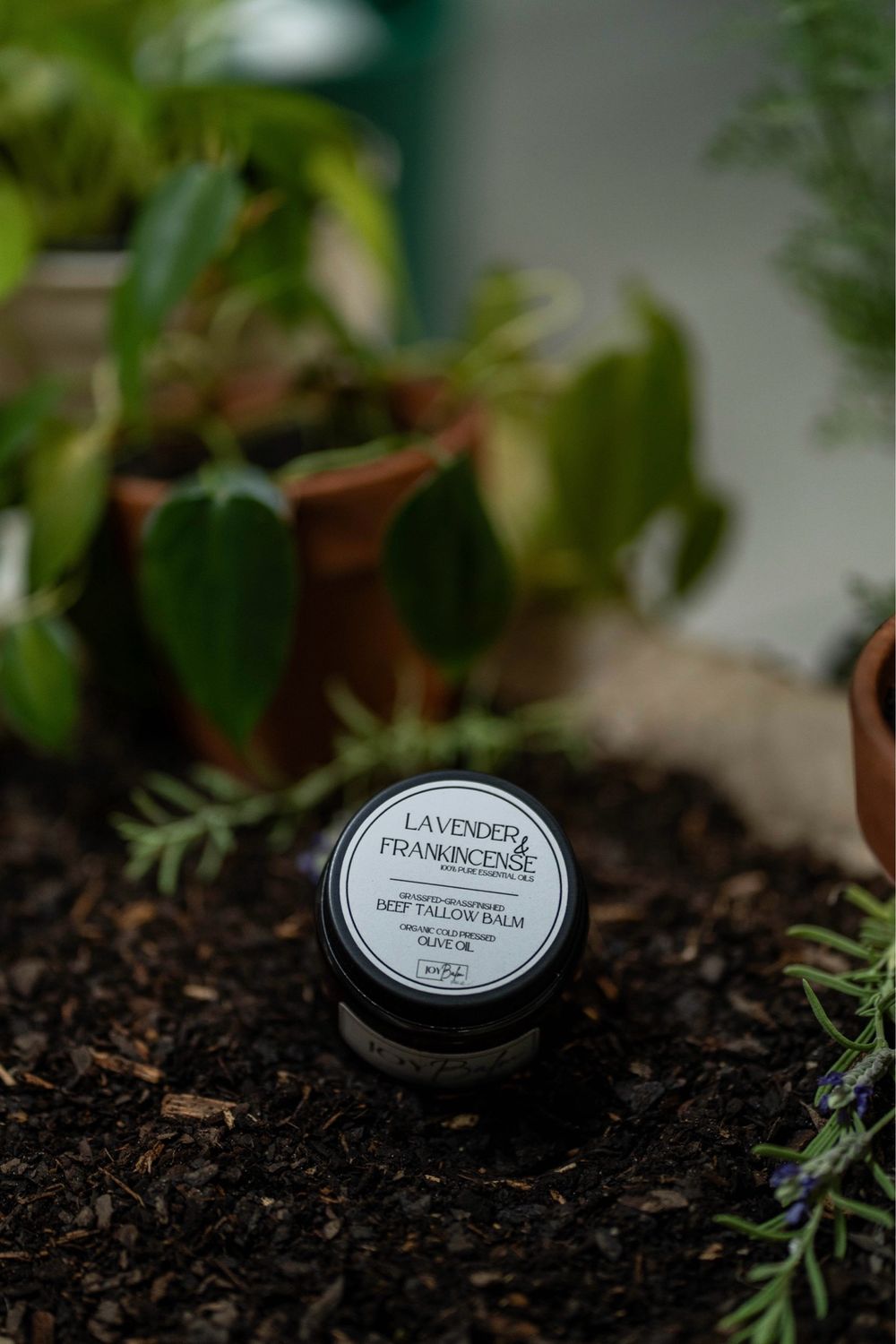 Lavender &amp; Frankincense Tallow Balm