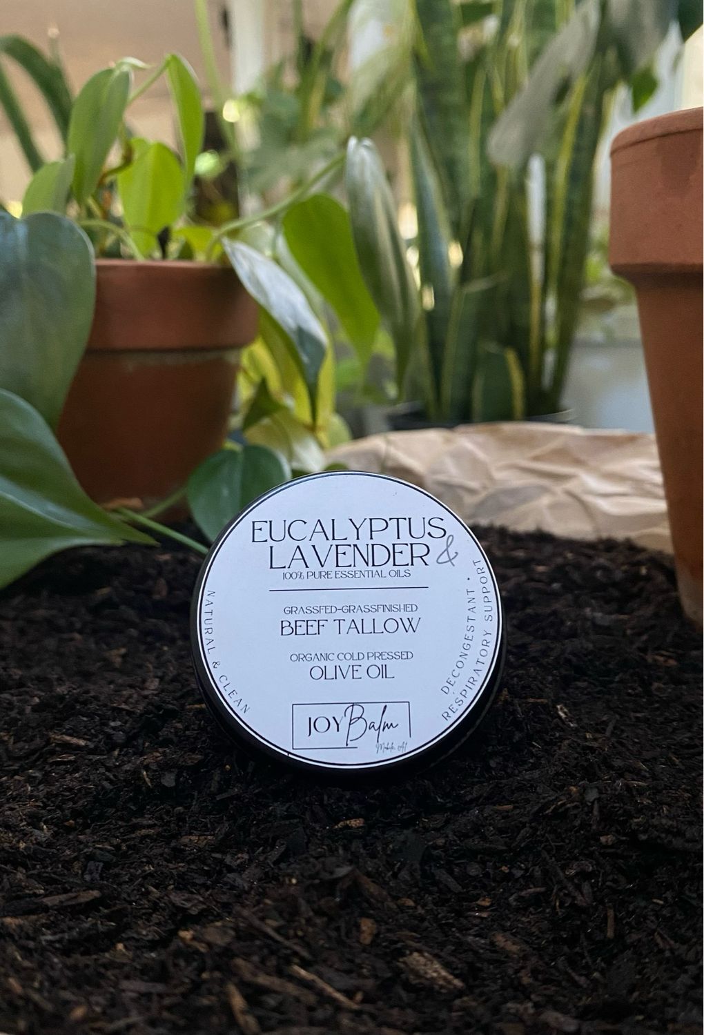 Eucalyptus &amp; Lavender Tallow Chest Rub