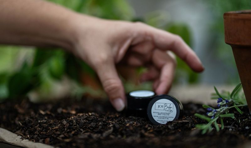 Tallow Lip Balm