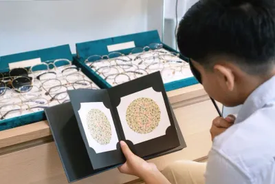 Colour Blindness Assessment