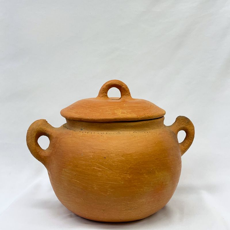 Traditionele Terracotta kookpot L