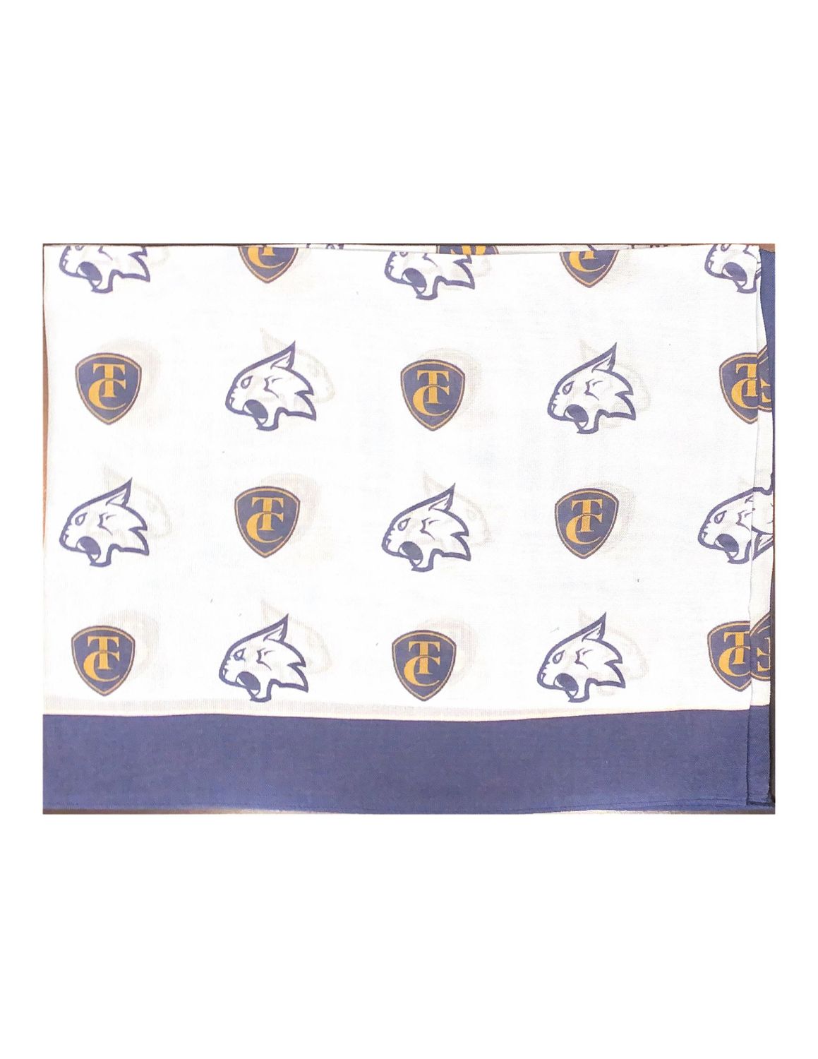 Ladies Silk Scarf