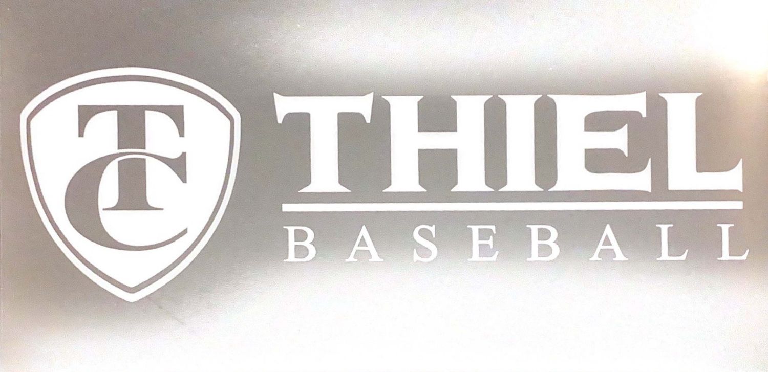 Baseball Window Cling