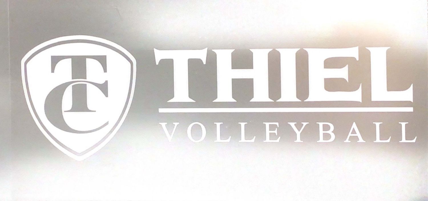 Volleyball Window Cling
