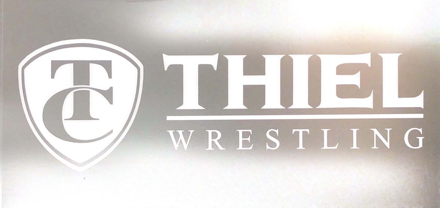 Wrestling Window Cling