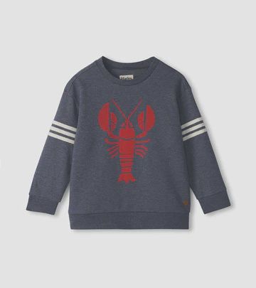 Pull marine avec homard 1900