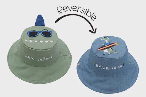 Chapeau reversible dino/surfer