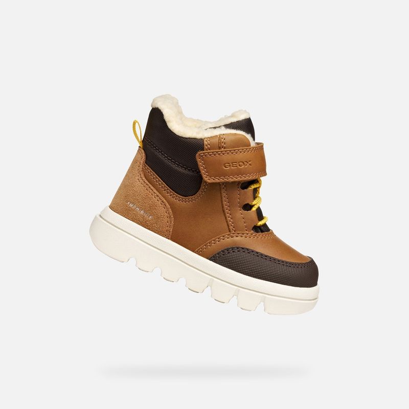 willaboom abx petit garçon