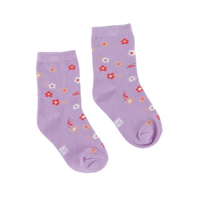 Chaussettes lilas 58-20