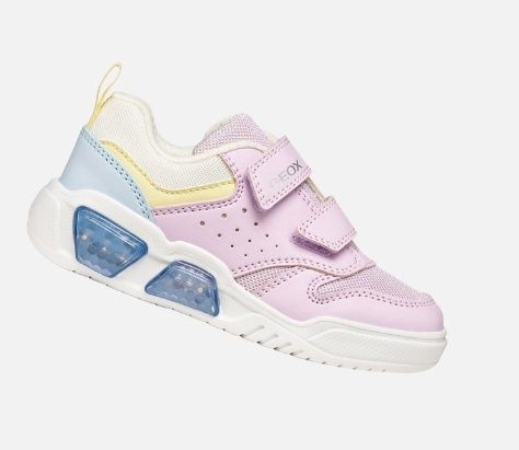Illuminus junior 575