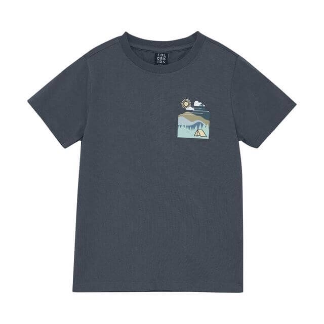 T-shirt gris bleu 2673